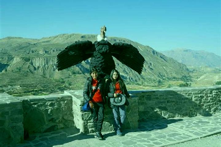 Ariana, 36 — Escort in Colca, Peru