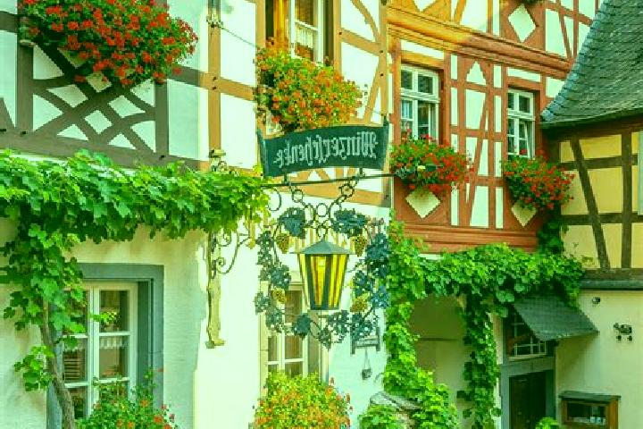 Ariana, 36 — Escort in Herbstmuhle, Germany