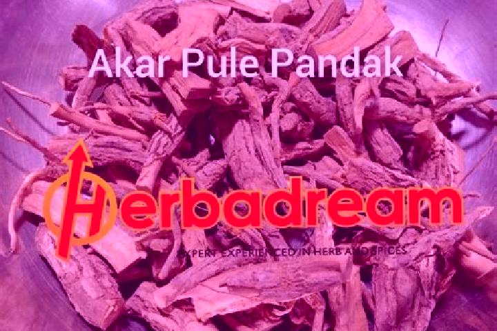 Ariana, 36 — Escort in Pandak, Indonesia