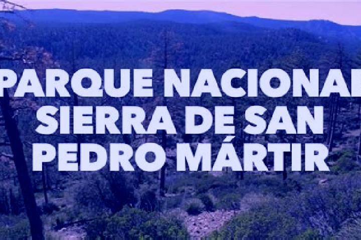 Ariana, 36 — Escort in San Pedro Martir, Mexico
