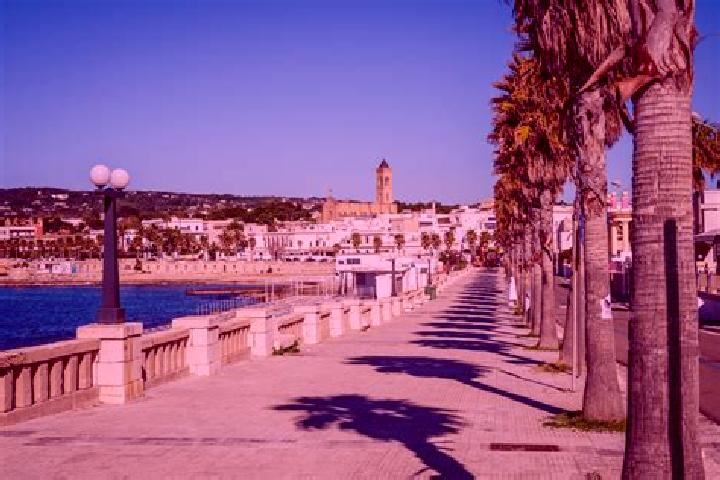 Ariana, 36 — Escort in Santa Maria di Leuca, Italy