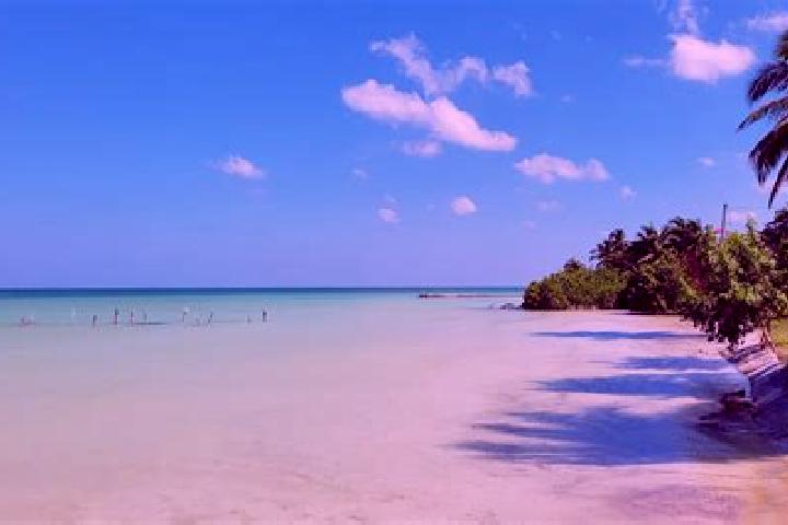 Ariana, 36 — Escort in Sarteneja, Belize
