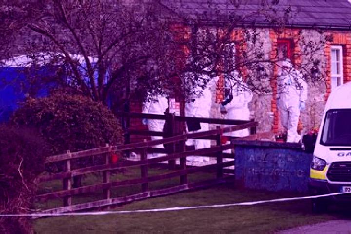 Ariana, 36 — Escort in Tallanstown, Ireland
