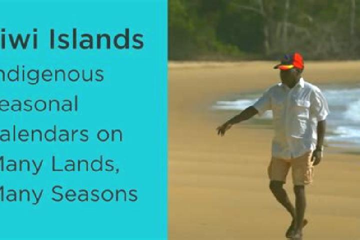 Ariana, 36 — Escort in Tiwi, Australia