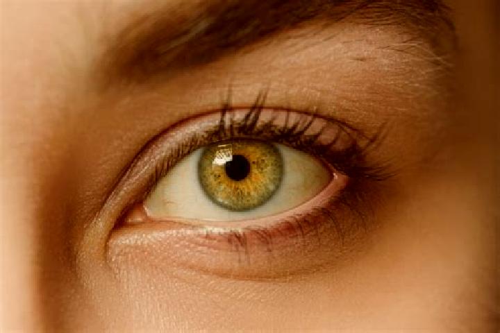 Ariana, 37, a chestnut hazel-eyed mixed companion based in Cabolafuente. Offering GFE, Dinner Date. Available for incall and outcall, day and evening dates.