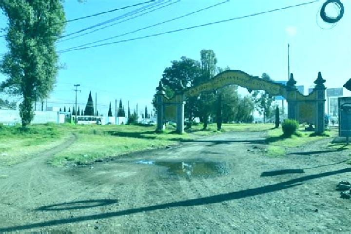 Ariana, 37 — Escort in Colonia la Concepcion, Mexico