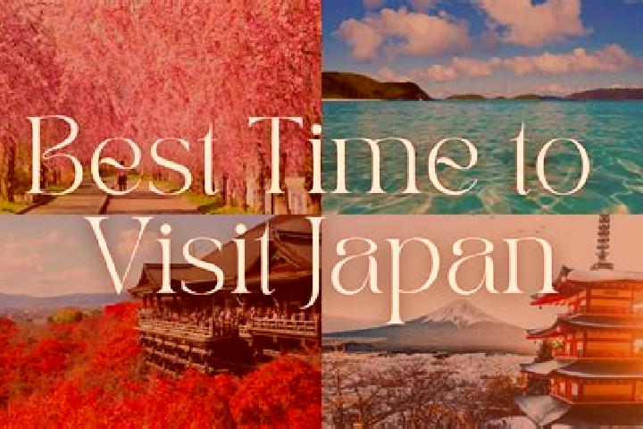 Ariana, 37 — Escort in Ina, Japan