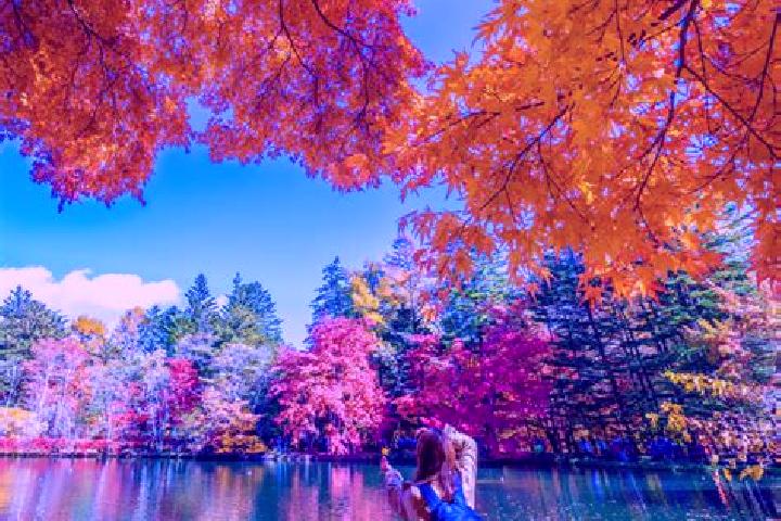 Ariana, 37 — Escort in Karuizawa, Japan