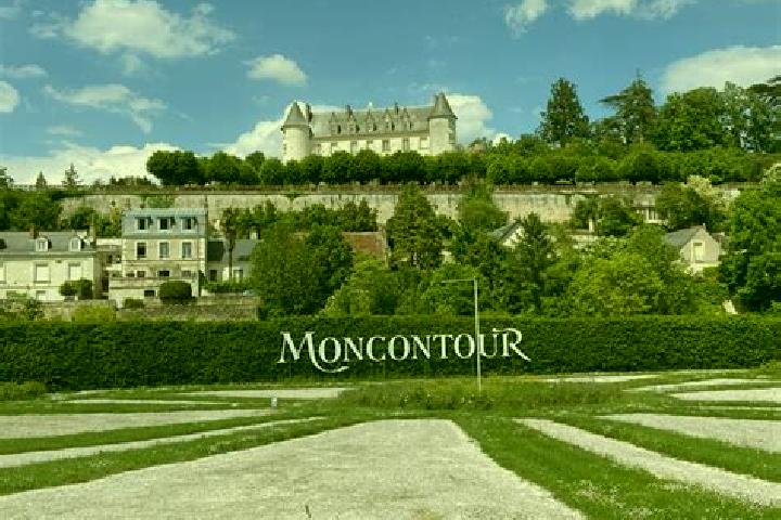 Ariana, 37 — Escort in Moncontour, France