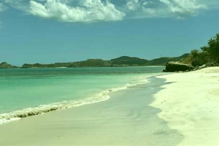 Ariana, 37 — Escort in Urlings, Antigua and Barbuda