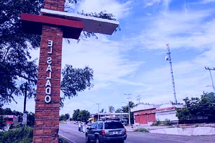 Ariana, 38 — Escort in Colonia el Salado, Mexico