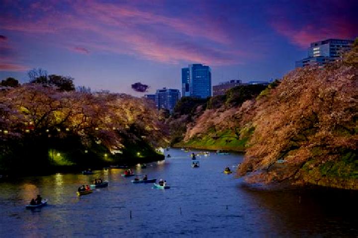 Ariana, 38 — Escort in Komagome, Japan