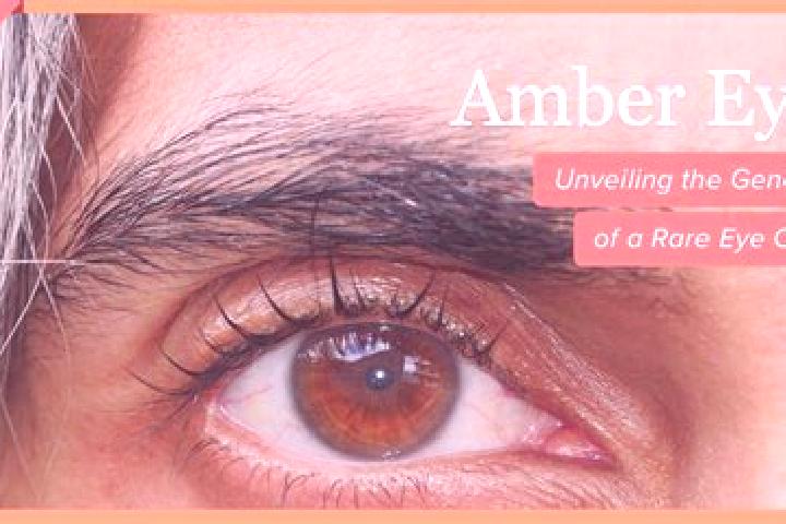 Ariana, 39, a black amber-eyed middle eastern companion based in Les Breuleux. Offering BDSM, Striptease, Domination. Available for incall and outcall, day a...