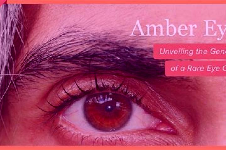 Ariana, 39, a dark blonde amber-eyed caucasian companion based in Paclavice. Offering Deep French Kissing, OWO, CIM, Dinner Date, Party Girl. Available for i...