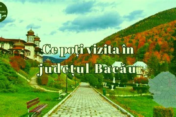 Ariana, 39 — Escort in Cauia, Romania