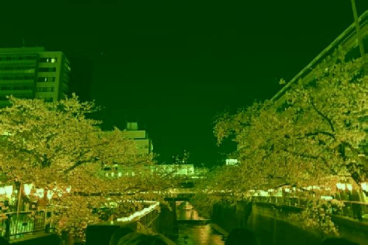 Ariana, 39 — Escort in Nakameguro, Japan