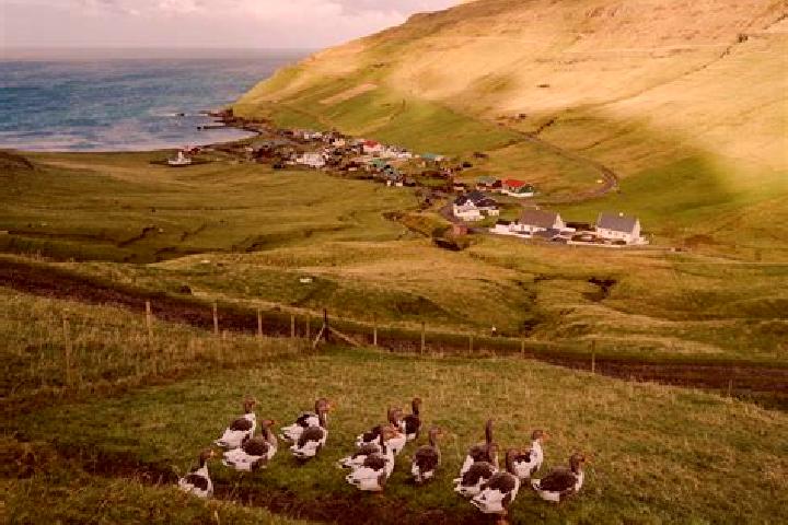 Aubrey, 20 — Escort in Skali, Faroe Islands