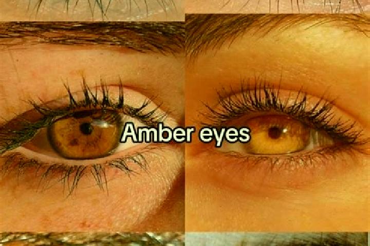 Aubrey, 21, a chestnut amber-eyed european companion based in Cohasset. Offering Domination, Massage, OWO, GFE, Couples. Available for incall and outcall, da...