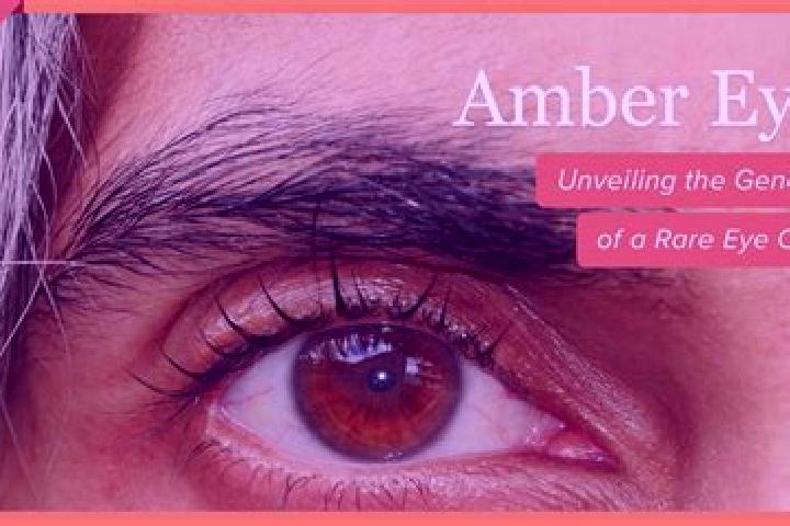 Aubrey, 21, a red amber-eyed middle eastern companion based in Eberstedt. Offering CIM, Party Girl, Massage, Roleplay, Overnight. Available for incall and ou...