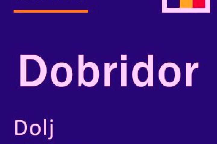Aubrey, 21 — Escort in Dobridor, Romania