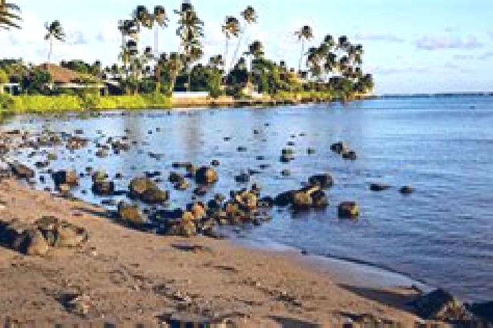 Aubrey, 22, a dark blonde amber-eyed indian companion based in Aina Haina-Hawaii Loa Ridge. Offering Domination, Roleplay, Prostate Massage, Deep French Kiss...
