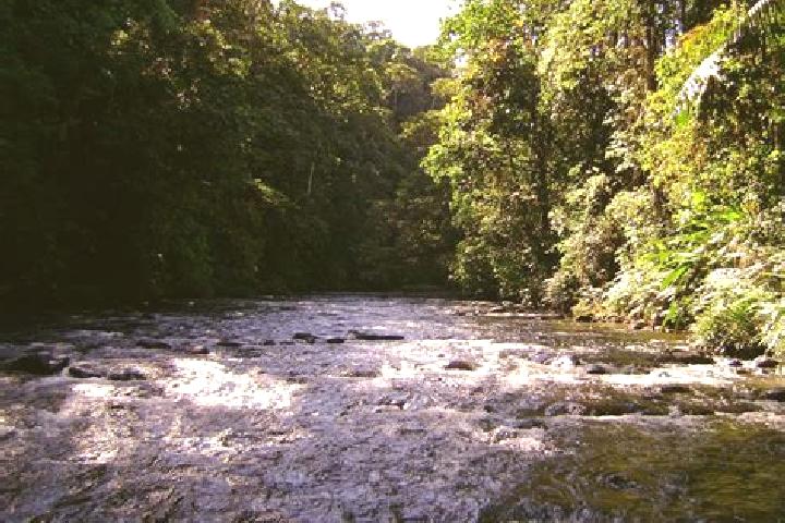 Aubrey, 22 — Escort in Arajuno, Ecuador