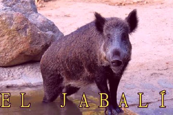 Aubrey, 22 — Escort in El Jabali, Mexico