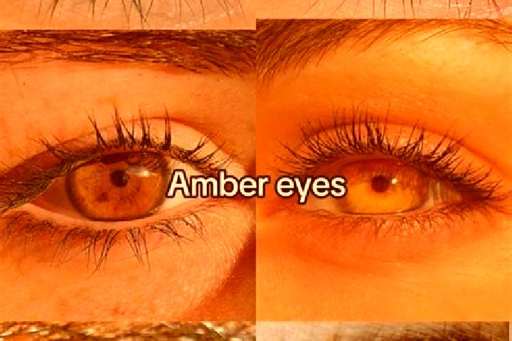 Aubrey, 23, a brunette amber-eyed indian companion based in Robertson. Offering Girlfriend Experience, Prostate Massage, Dinner Date, Party Girl, OWO. Availa...