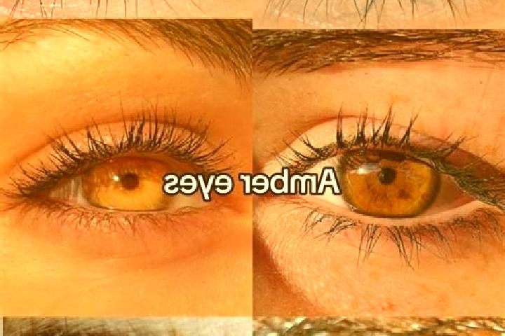 Aubrey, 23, a chestnut amber-eyed slavic companion based in Novo Mesto. Offering OWO, BDSM, CIM, Striptease, Massage. Available for incall and outcall, day a...