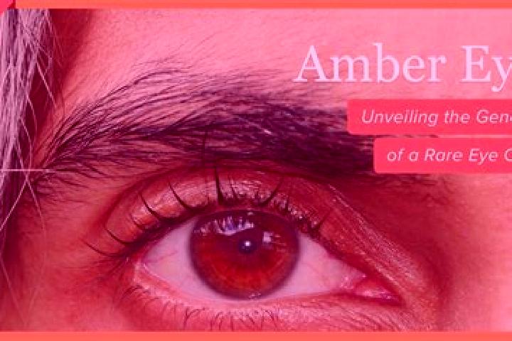 Aubrey, 23, a red amber-eyed european companion based in Sofular. Offering Overnight, Prostate Massage, Couples. Available for incall and outcall, day and ev...