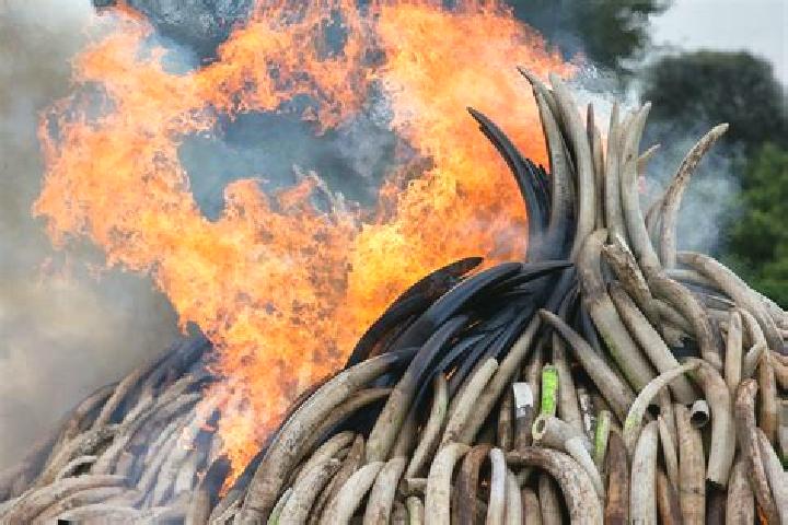 Aubrey, 23 — Escort in Burnt Forest, Kenya