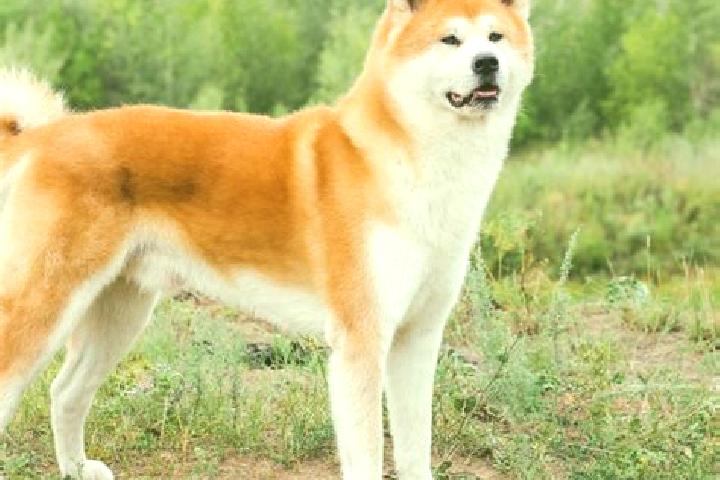 Aubrey, 23 — Escort in Kita-Akita, Japan