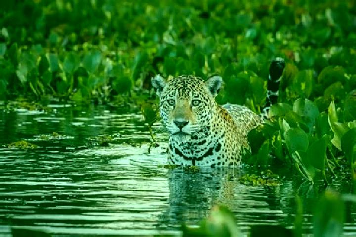 Aubrey, 24 — Escort in Pantanal, Brazil