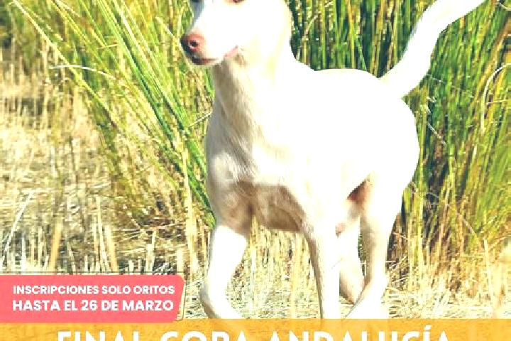 Aubrey, 25 — Escort in Sierra de Yeguas, Spain
