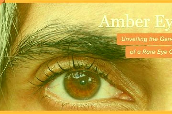 Aubrey, 26, a black amber-eyed middle eastern companion based in Camo. Offering Tantra, CIM, Fetish. Available for incall and outcall, day and evening dates.