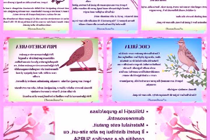 Aubrey, 26 — Escort in Ciocarlia, Romania