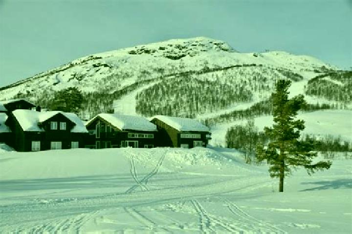 Aubrey, 26 — Escort in Hovden, Norway
