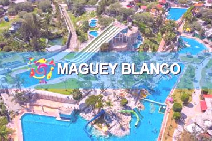 Aubrey, 26 — Escort in Maguey Blanco, Mexico