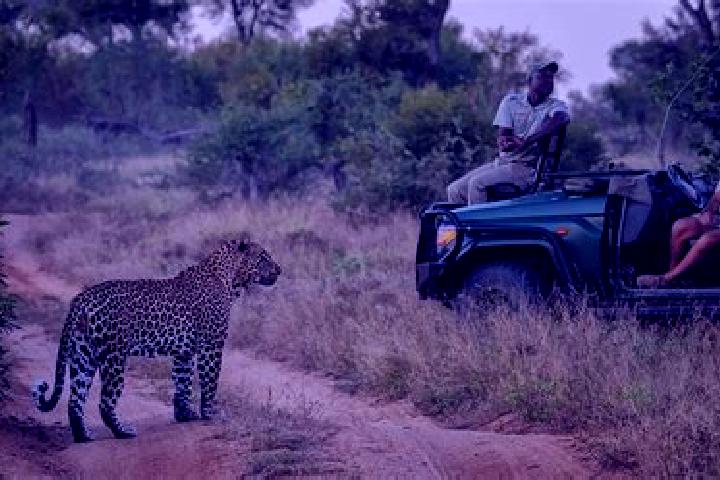 Aubrey, 26 — Escort in Sabi-Sand Game Reserve, South Africa