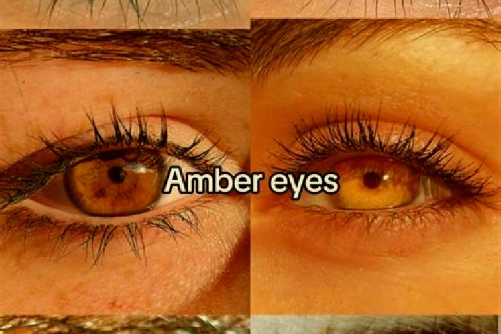 Aubrey, 27, a chestnut amber-eyed asian companion based in Amahai. Offering Dinner Date, Striptease, GFE, Overnight. Available for incall and outcall, overni...