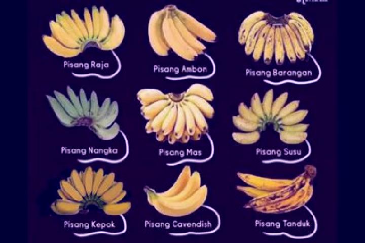 Aubrey, 27 — Escort in Pisang, Indonesia