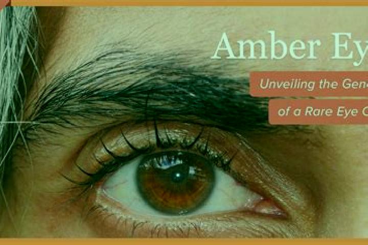 Aubrey, 28, a red amber-eyed middle eastern companion based in Kelbra. Offering BDSM, Duos, Prostate Massage, Massage, Overnight. Available for incall and ou...