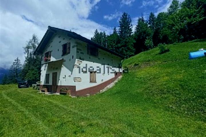 Aubrey, 28 — Escort in Laggio di Cadore, Italy