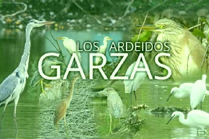 Aubrey, 28 — Escort in San Pedro y las Garzas, Mexico
