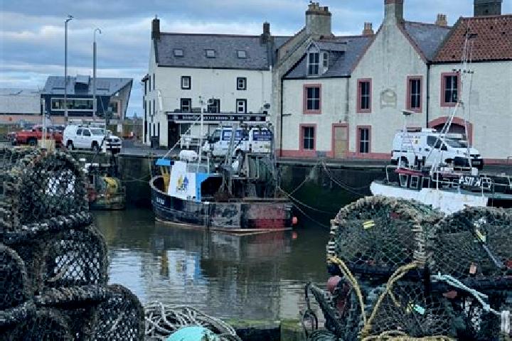 Aubrey, 29 — Escort in Eyemouth, United Kingdom
