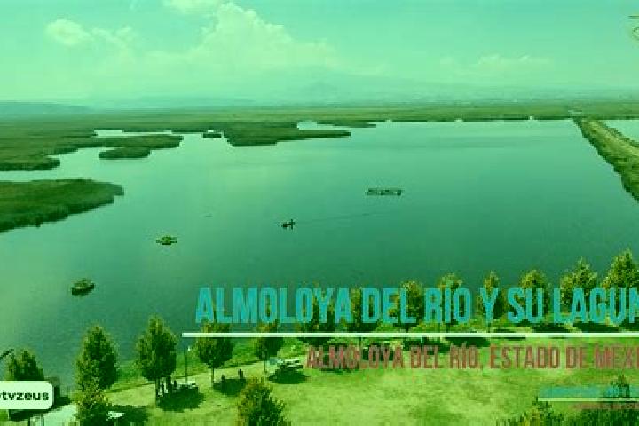 Aubrey, 29 — Escort in Loma del Salitre (Colonia Loma del Salitre), Mexico