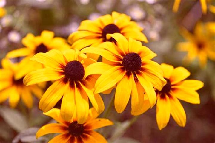 Aubrey, 30, a black grey-eyed mixed companion based in Semenovskoye. Offering Tantra, Girlfriend Experience. Available for incall and outcall, overnight book...