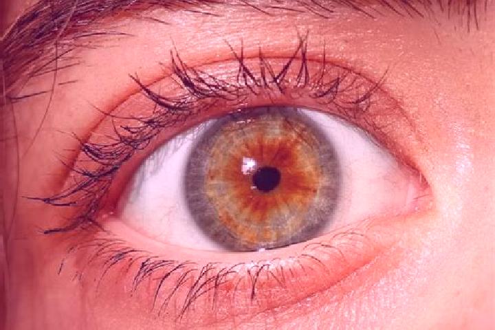 Aubrey, 30, a red hazel-eyed indian companion based in Pelotas. Offering A-Level, 69, Massage, OWO. Available for incall and outcall, day and evening dates.