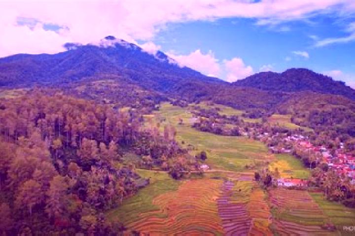 Aubrey, 30 — Escort in Balapulang, Indonesia