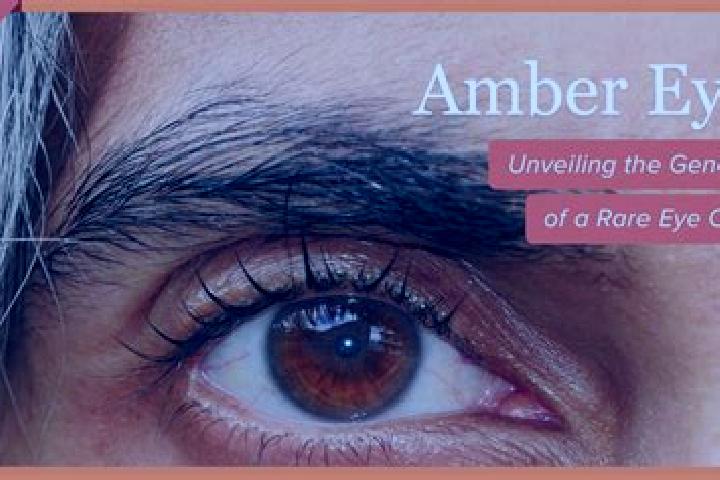 Aubrey, 31, a red amber-eyed ebony companion based in Leleble. Offering Girlfriend Experience, Overnight, Duos, Striptease. Available for incall and outcall,...